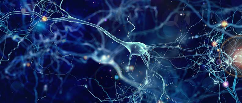 neurology brain synapses compounding